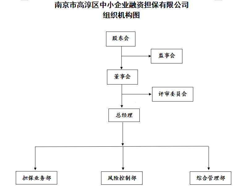 南京市高淳區中小企業融資擔保有限公司簡介